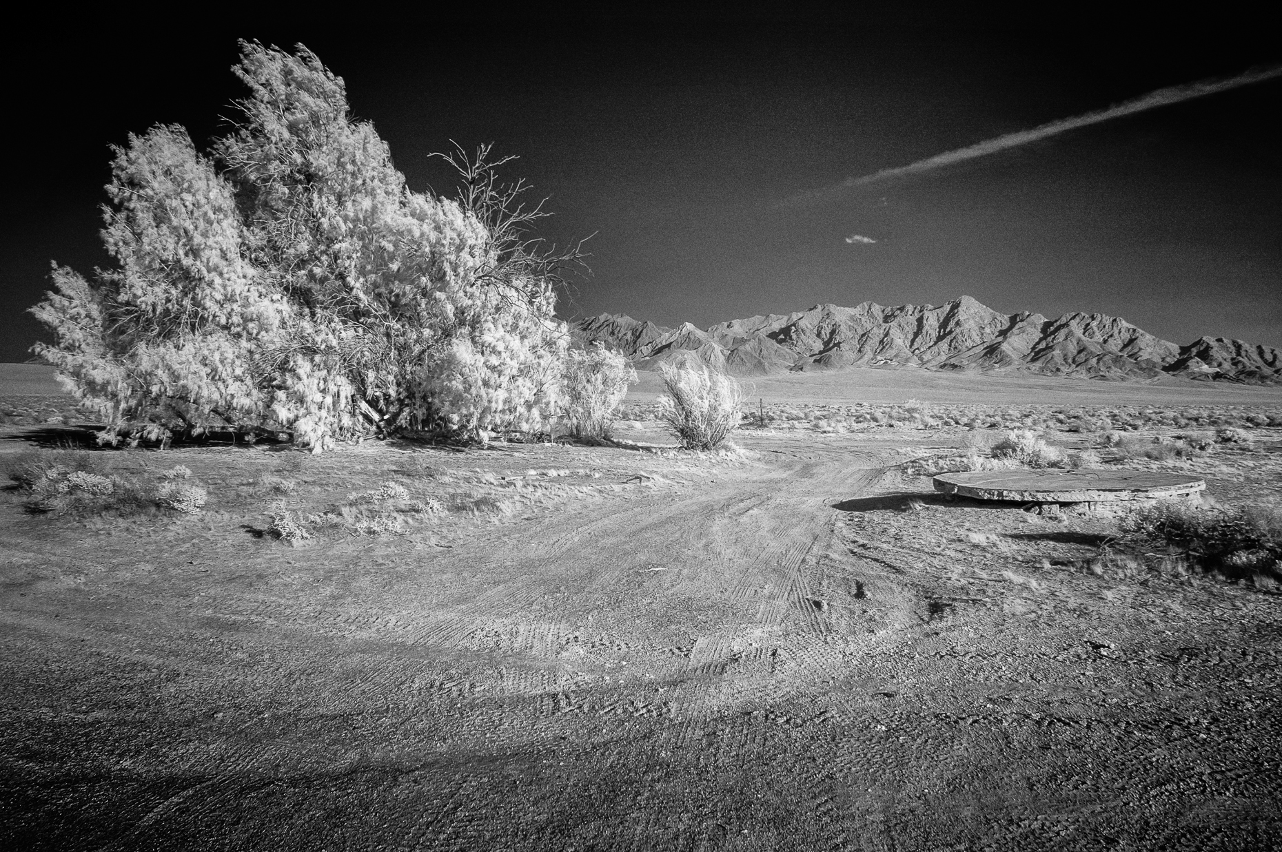 Amargosa-220-DUP.jpg