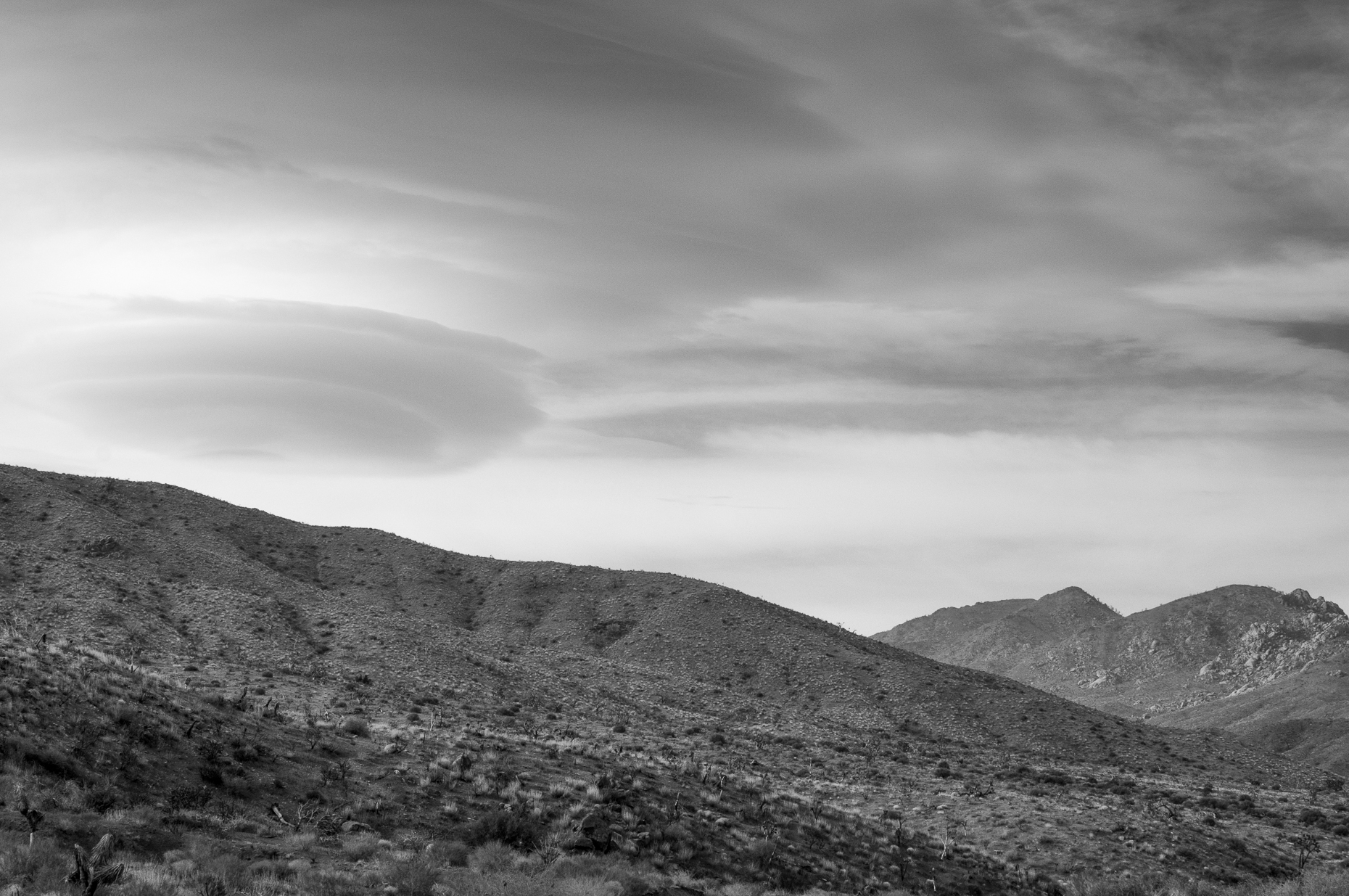 Mojave-1000.jpg
